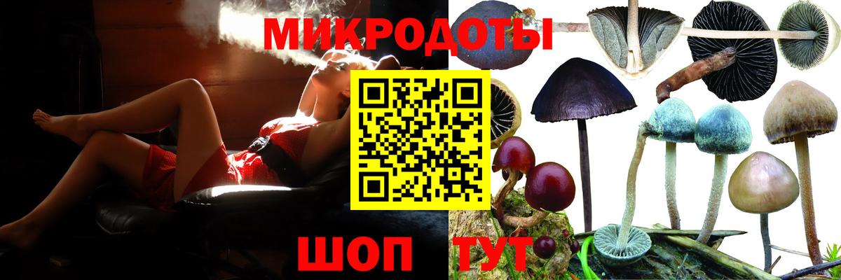 Галлюциногенные грибы Psilocybe Дзержинский